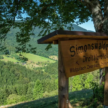 In G Tenbach With Nearby Forest Apartment