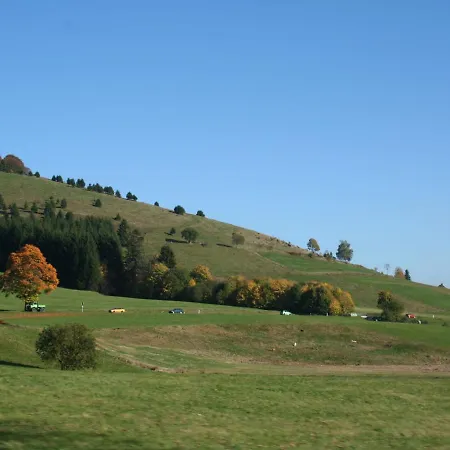 In G Tenbach With Nearby Forest * Фуртванген