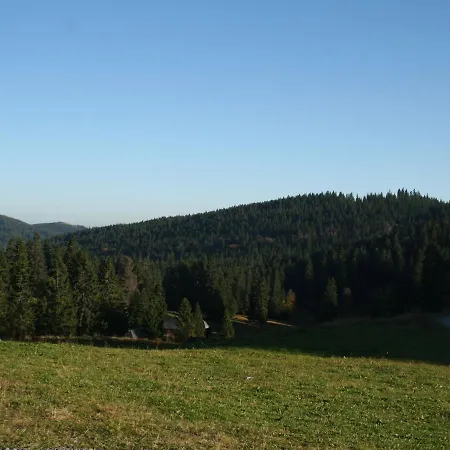 In G Tenbach With Nearby Forest Apartment *