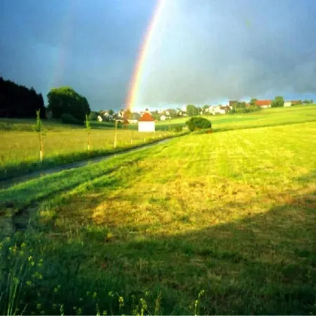 In G Tenbach With Nearby Forest Фуртванген