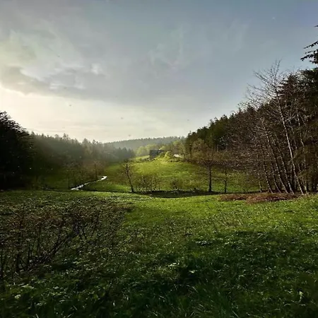 In G Tenbach With Nearby Forest * Фуртванген