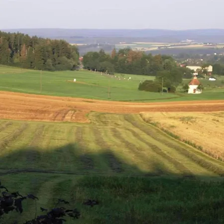 In G Tenbach With Nearby Forest
