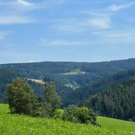 In G Tenbach With Nearby Forest *