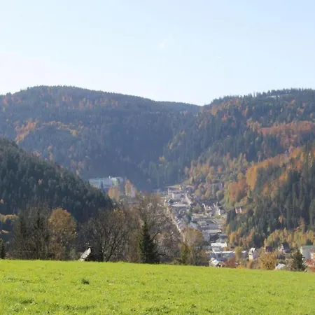 In G Tenbach With Nearby Forest *
