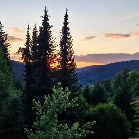 In Guetenbach * Furtwangen