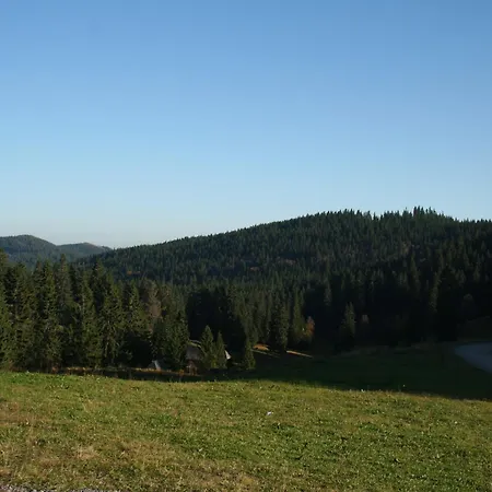 In Guetenbach Furtwangen