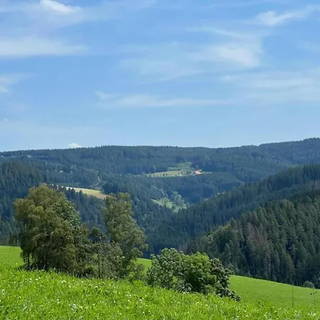 In Guetenbach * Furtwangen